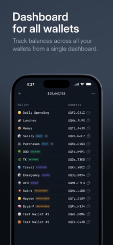Tonkeeper Pro — Crypto Wallet Screenshot 4 of 4