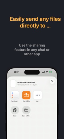 Share2Site Screenshot 1 of 3