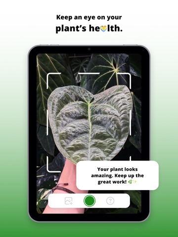 BotaniCare: Plant Identifier iPad screenshot