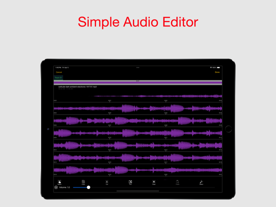 Video Get Pro -Private Editor iPad app afbeelding 2