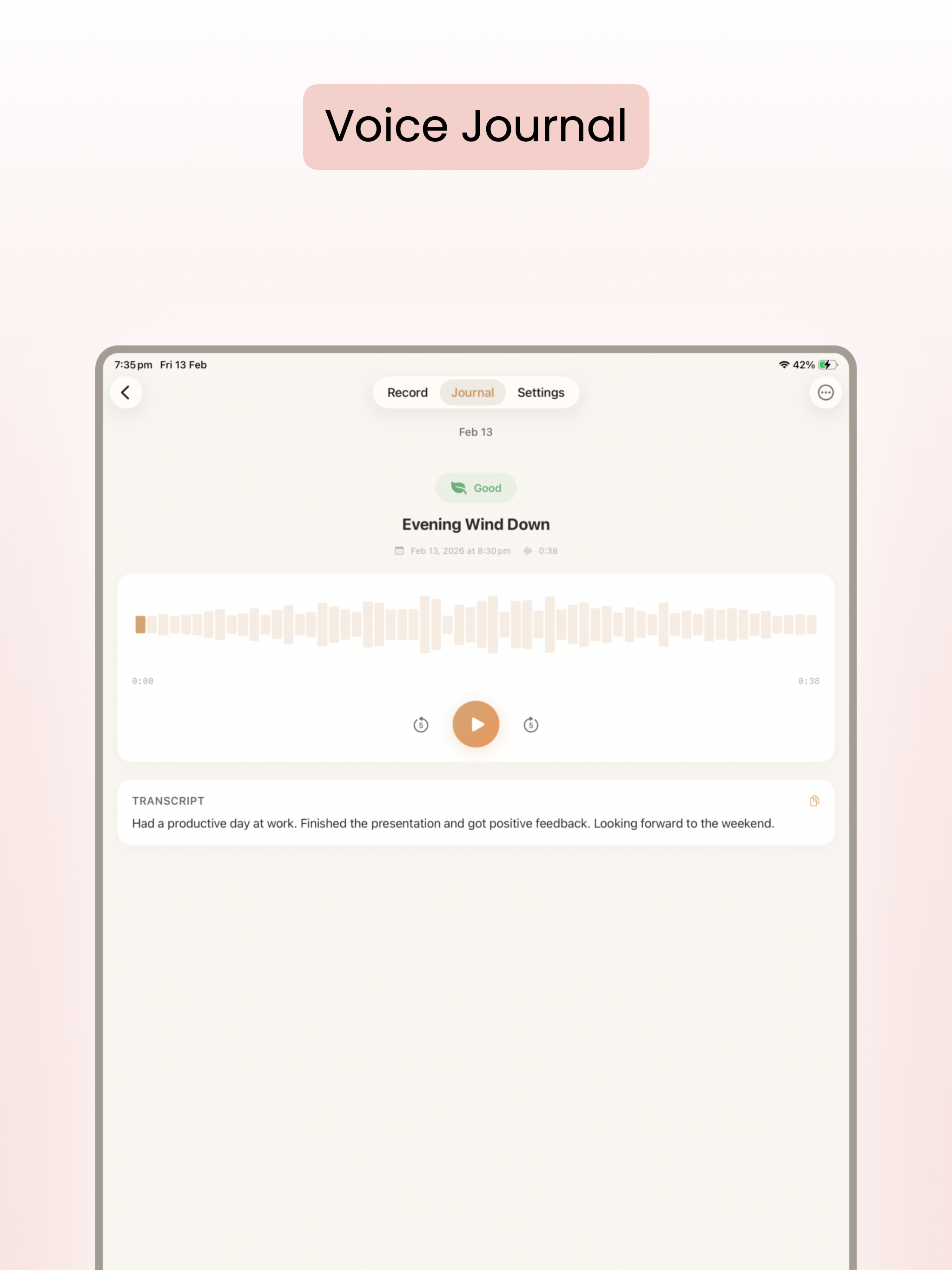 Voice Memo Diary - 60 Sec
