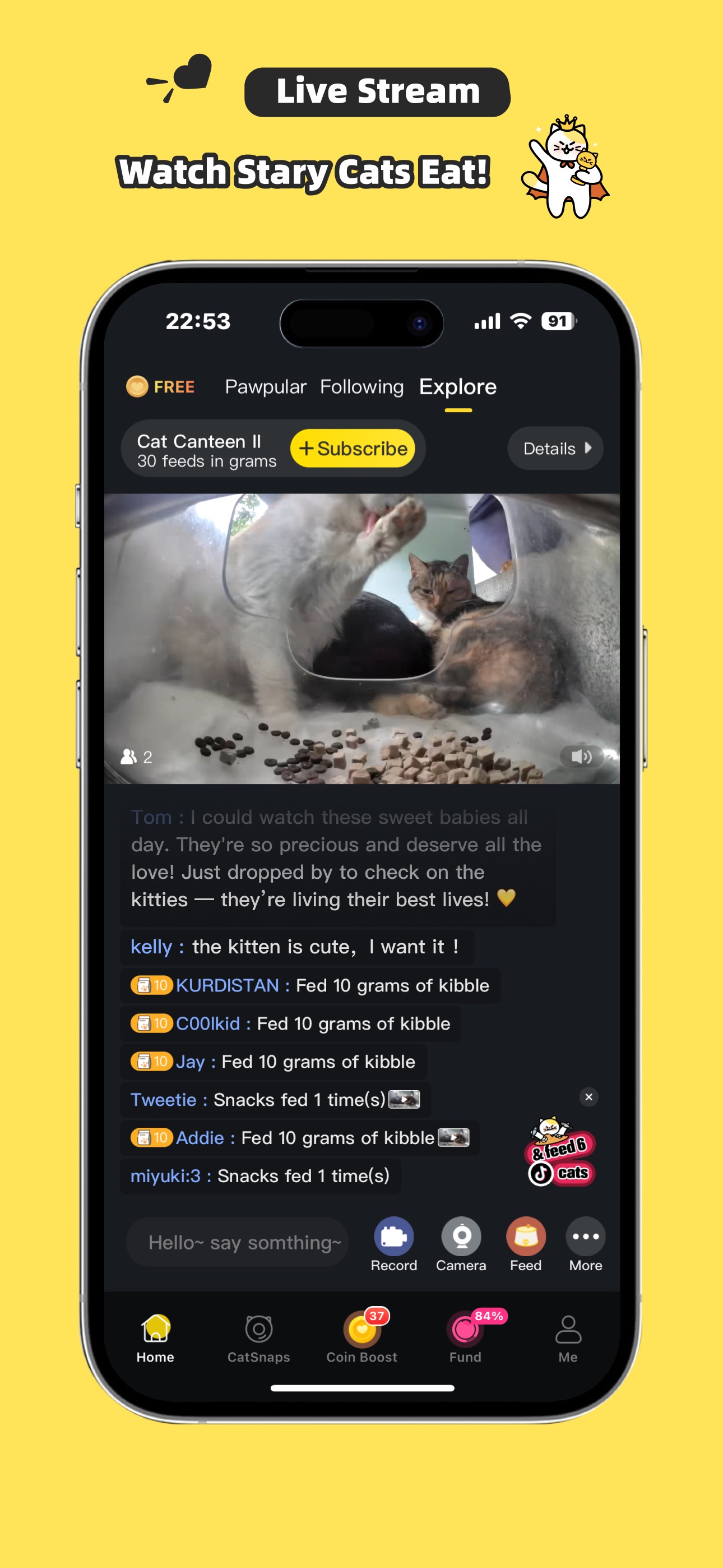 Purrrr-Feed&Rescue Stray Cats screenshot 1