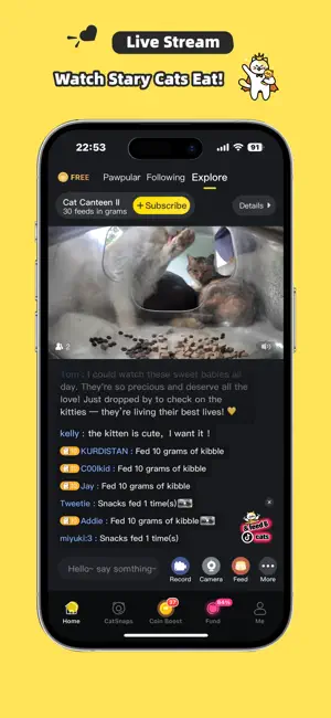 Purrrr-Feed&Rescue Stray Cats iPhone screenshot 1