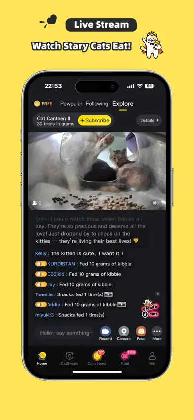 Purrrr-Feed&Rescue Stray Cats screenshot 1