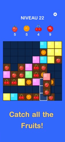 Block Blast screenshot
