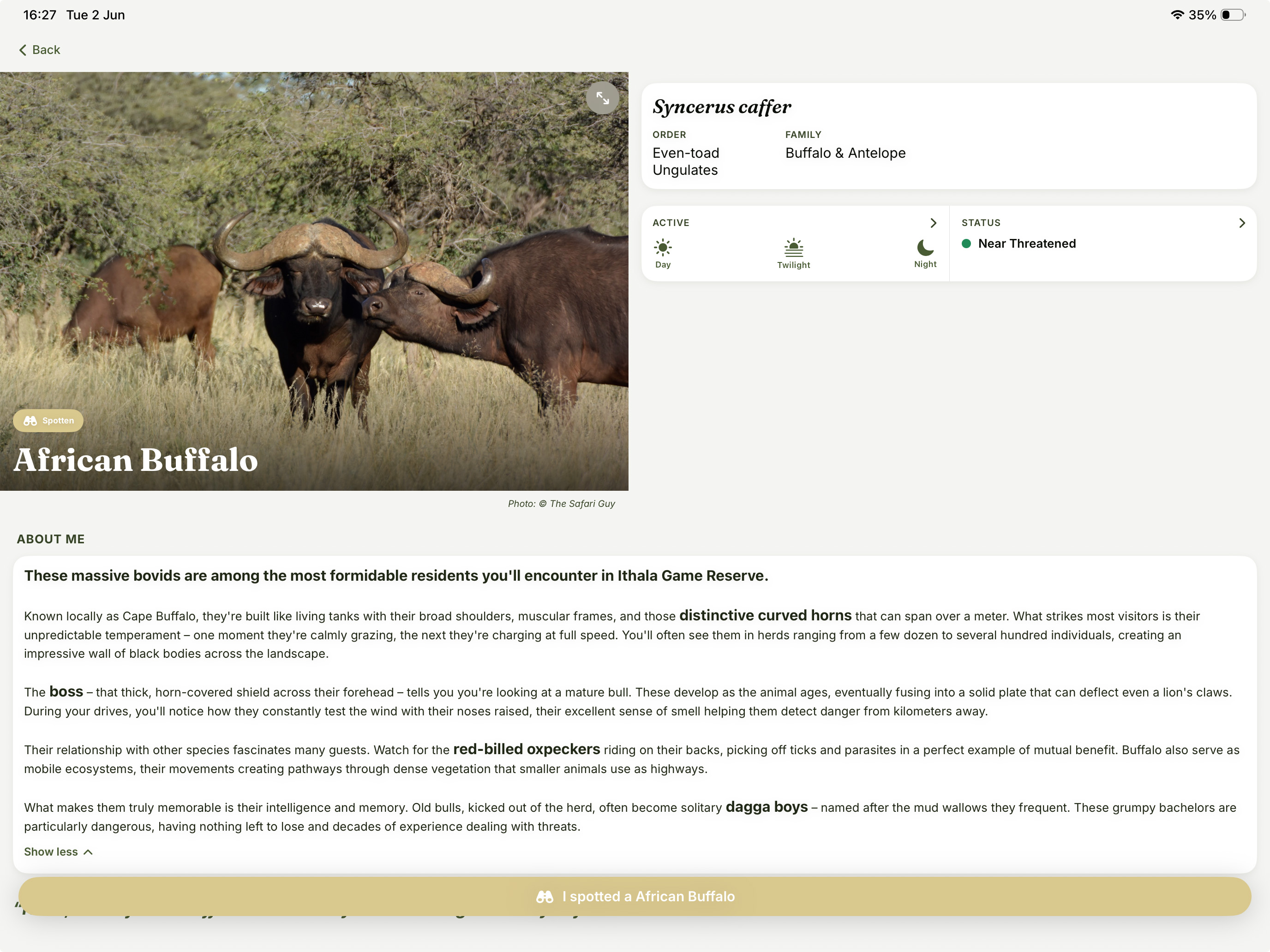 Ithala Safari
