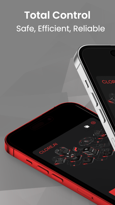 Screenshot #1 pour Clore Wallet