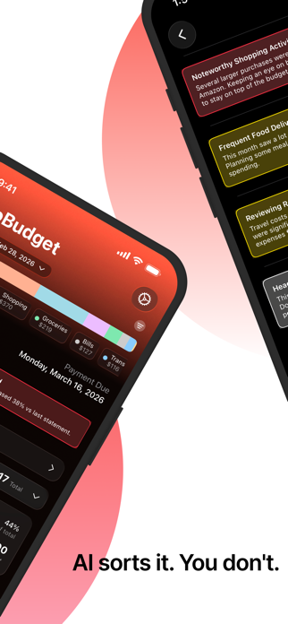RetroBudget: AI Spend Tracker Screenshot 2 of 4