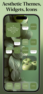 Themify - Widget & Icon Themes screenshot 3