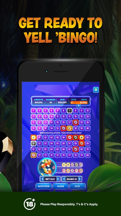 Jumba Bet Fun Casino Games