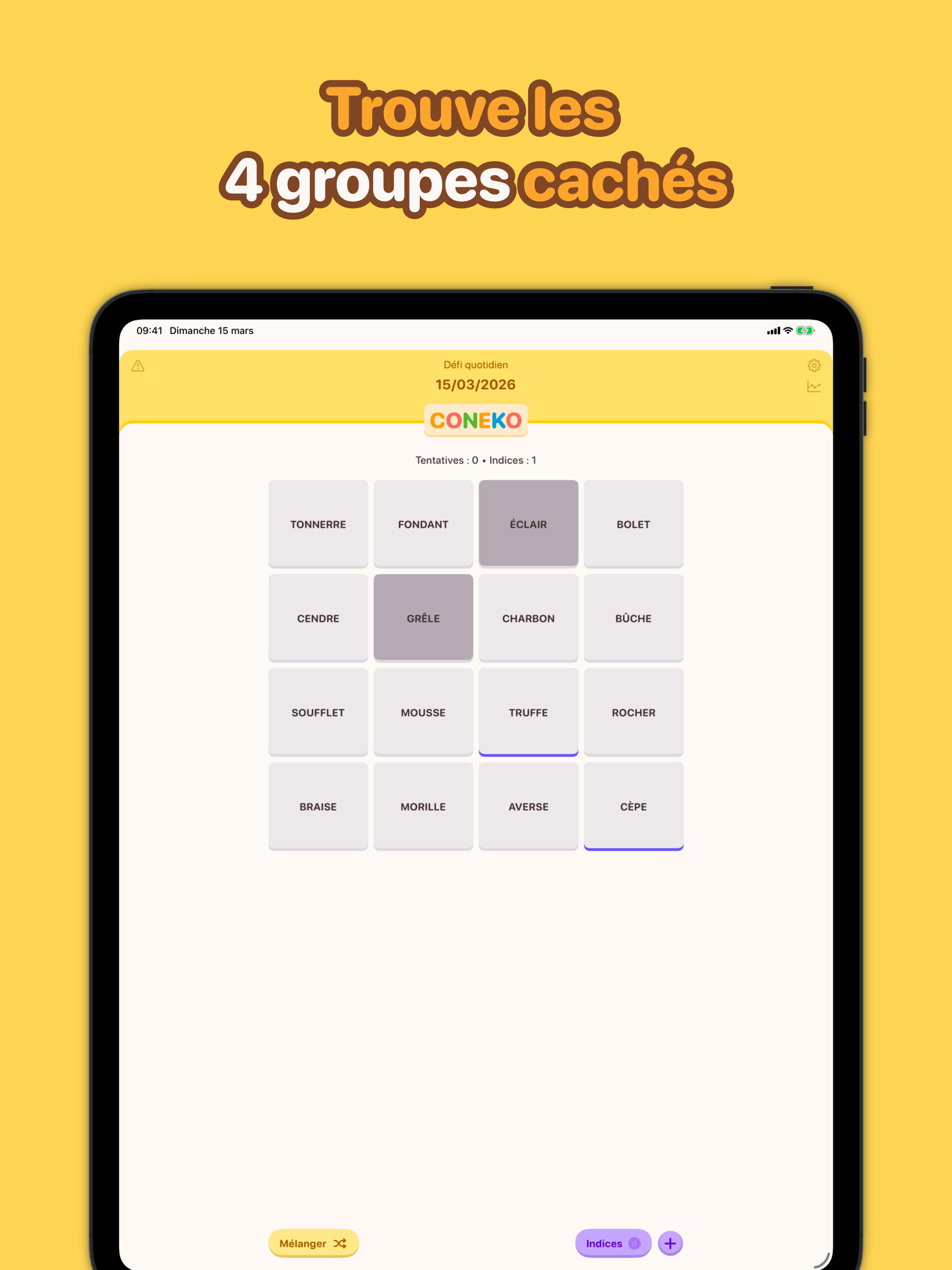 Jeu de Mots Connectés: Coneko screenshot 6