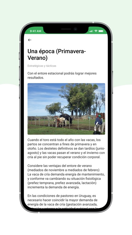 PlusCarne screenshot-4