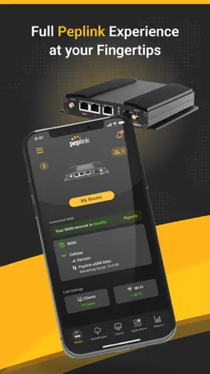 Peplink screenshot 1
