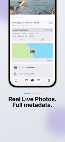 LiveTone Screenshot 5 of 6