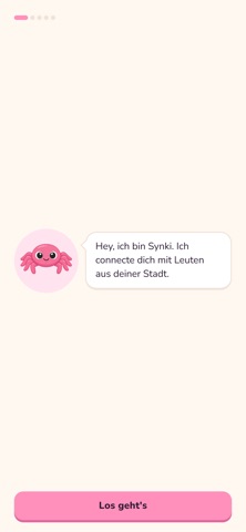 Synk screenshot 5