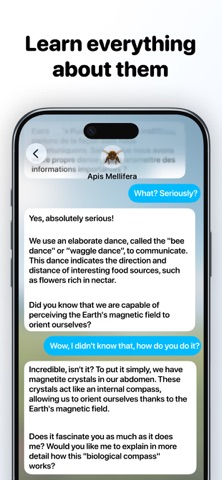 Bugsy – Insect Collection Quiz screenshot