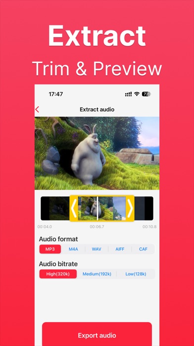 Screenshot #3 for Audio Converter : Video to MP3