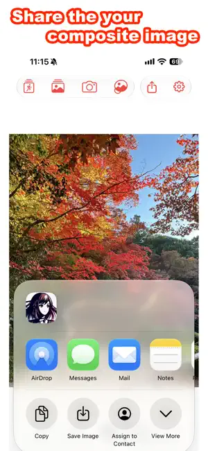 Acsta - Image composite screenshot 4