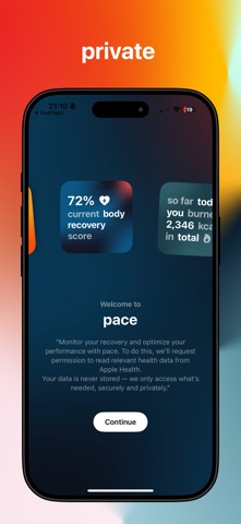 pace screenshot