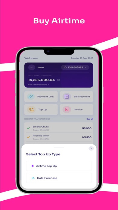 BudPay Business Screenshot