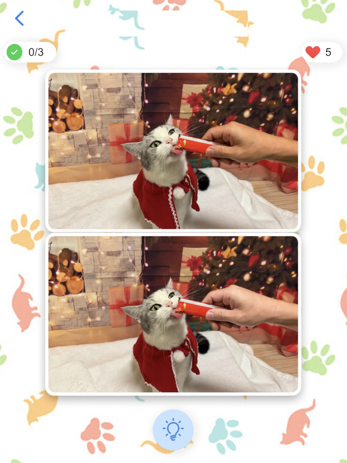 Cat Find Differences