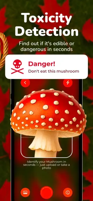 Mushroom Identifier - FWise screenshot 3