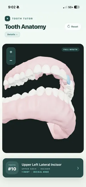 ToothTutor screenshot 4