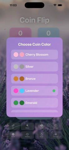 Flip Decision Maker screenshot