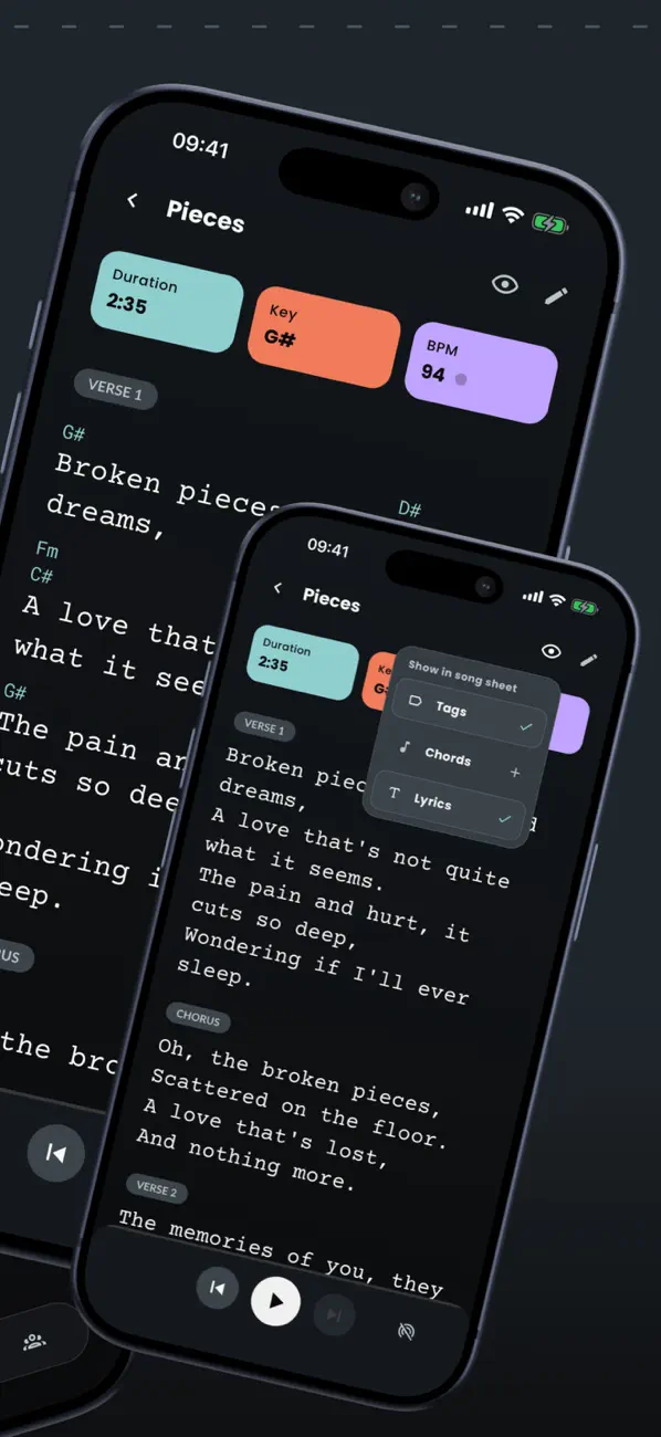 Screenshot #2 pour Band Companion