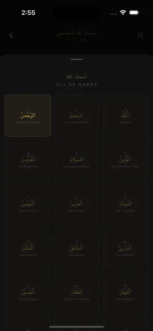 oSalah screenshot 4