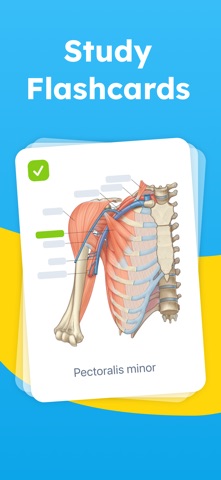 Mopiq: AI Flashcards Learning Screenshot 1 of 6