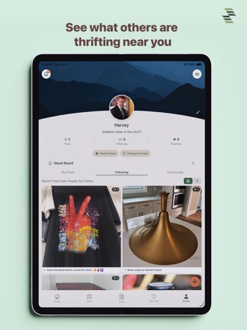ThriftnDrift iPad screenshot