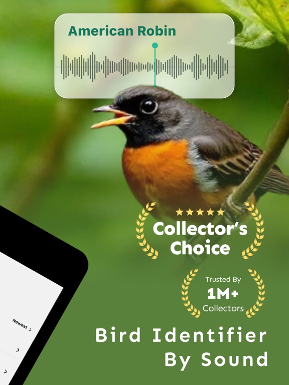 Screenshot #5 pour Bird Sounds Identifier Song ID