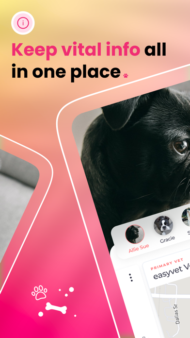 Wiggles—Be the Best Dog Parent Screenshot