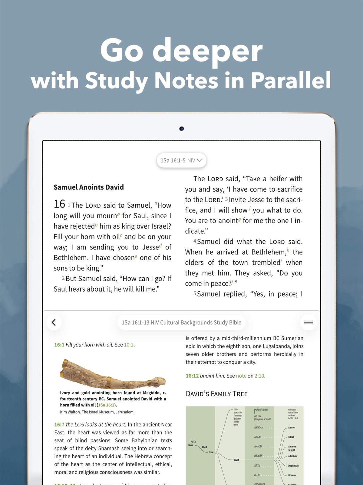 NIV Bible App + ipad screenshot 2