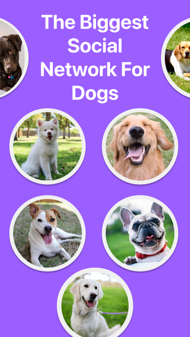 Pawmates: The Pet Social Media Screenshot