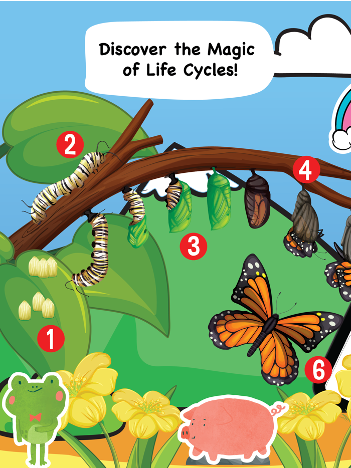 Learn life cycle for toddler