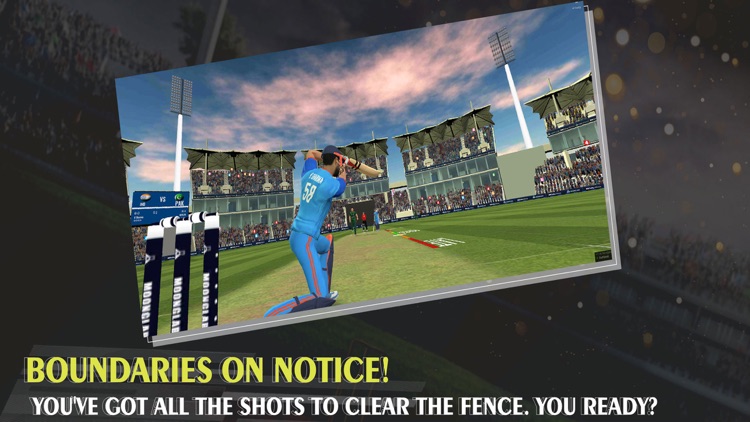 Epic Cricket - Real 3D Game screenshot-3