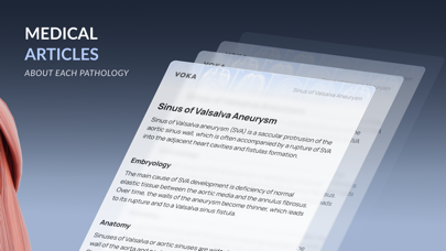 VOKA 3D Anatomy & Pathology Screenshot