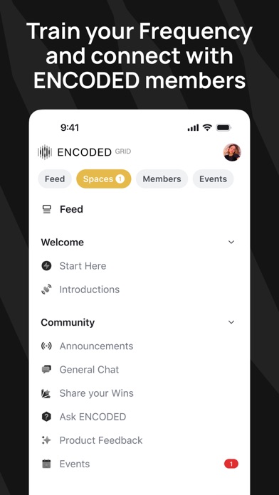 ENCODED Grid iPhone screenshot 2 - Social Networking app