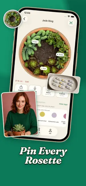 Sedumx screenshot 2