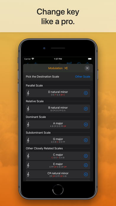 Suggester 2 : Chords & Scales Screenshot