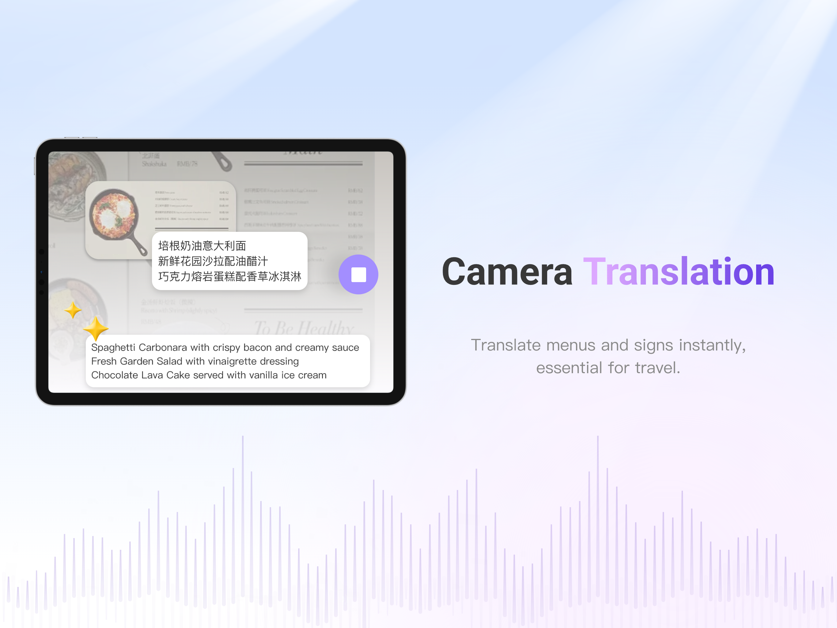 ViiTor Translate: AI Subtitles