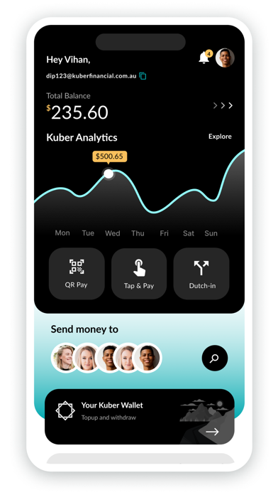 Kuber Financial Screenshot