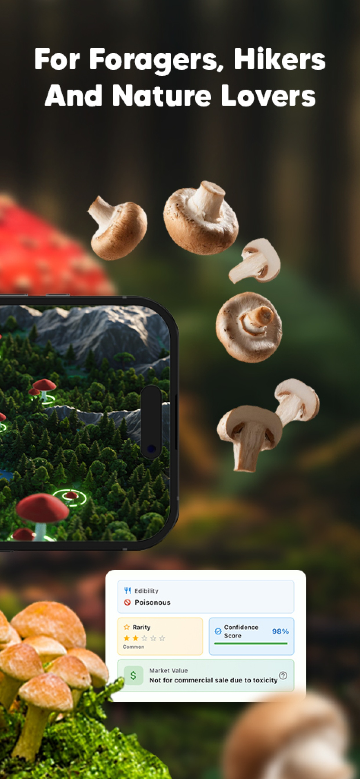 Mushroom Identifier : Fungis