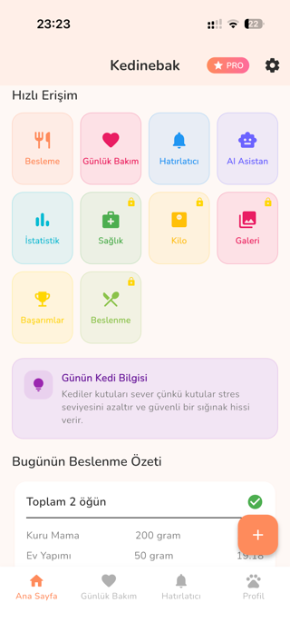 Kedinebak Screenshot 3 of 9