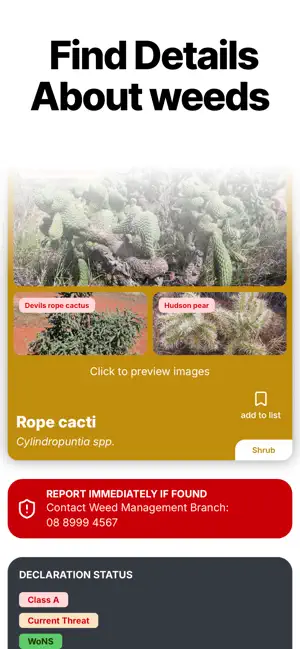 Weed ID Deck NT screenshot 3