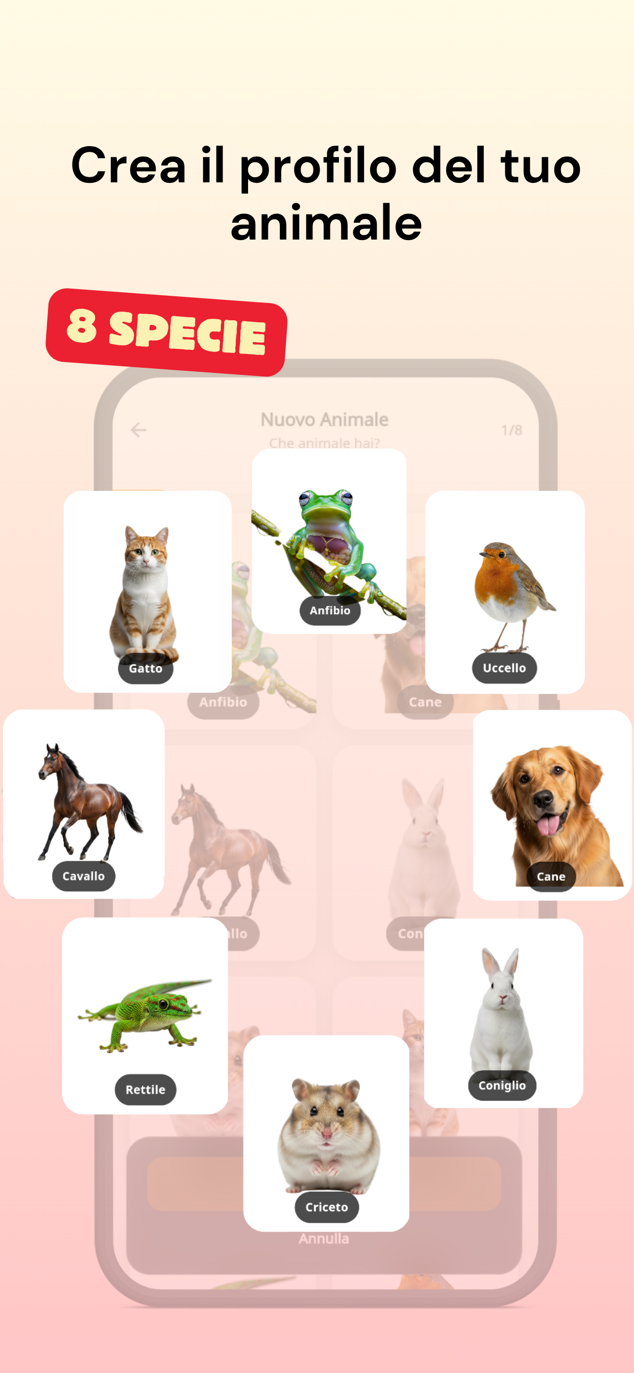 Animingo