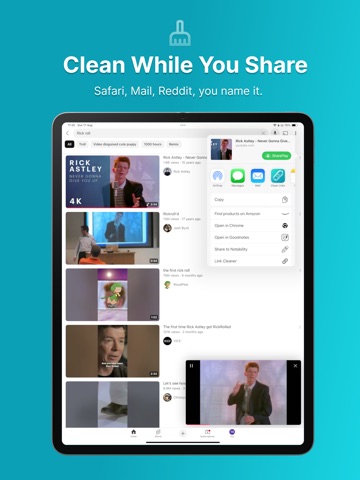 Clean Links: URL Cleaner iPad screenshot