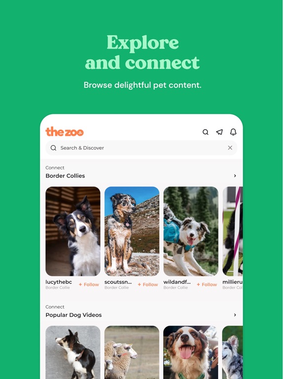 Zoo by Chewy - Pet Community iPad screenshot 5 - Social Networking app